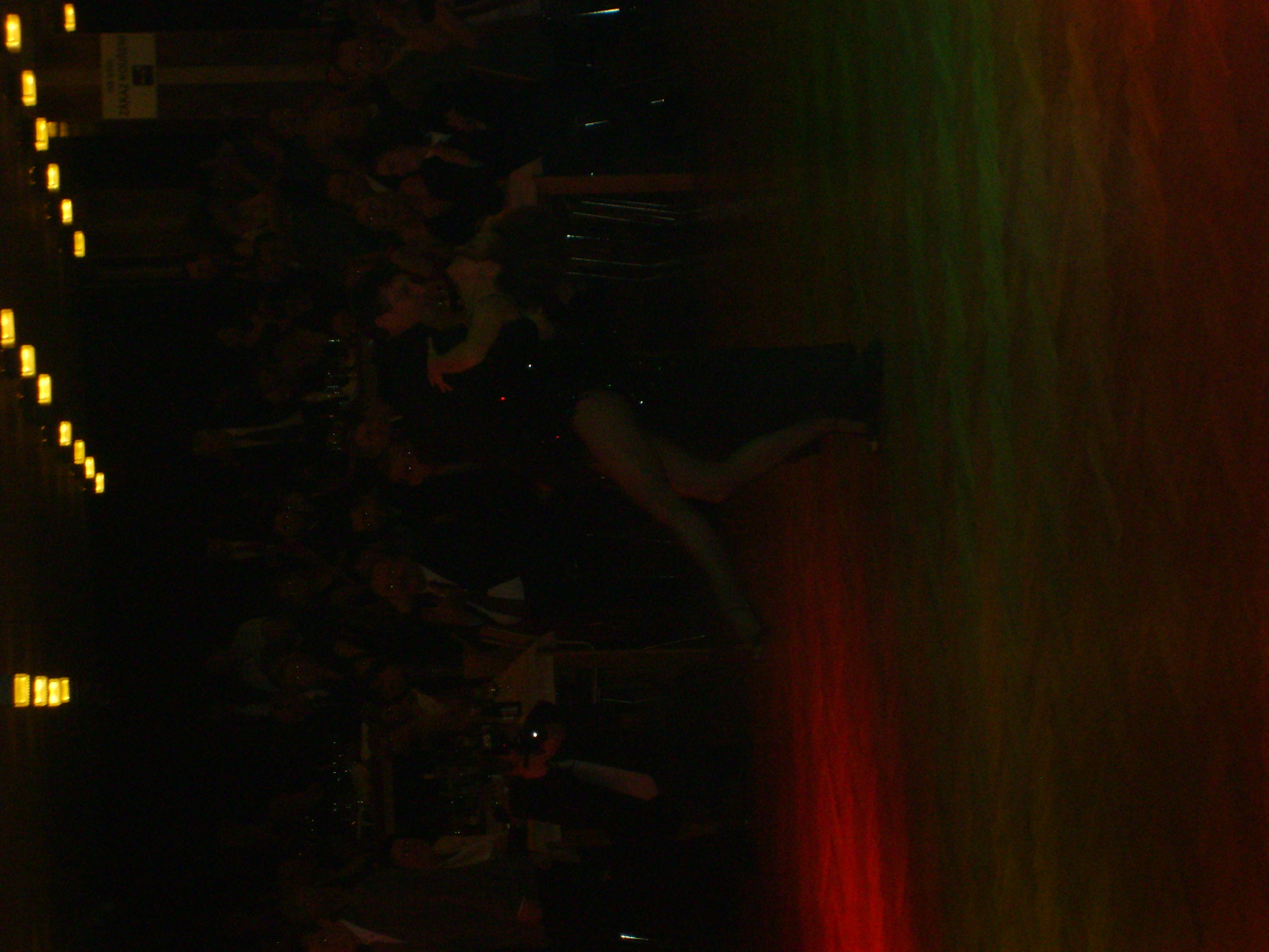Ples města Kolína 2009 007